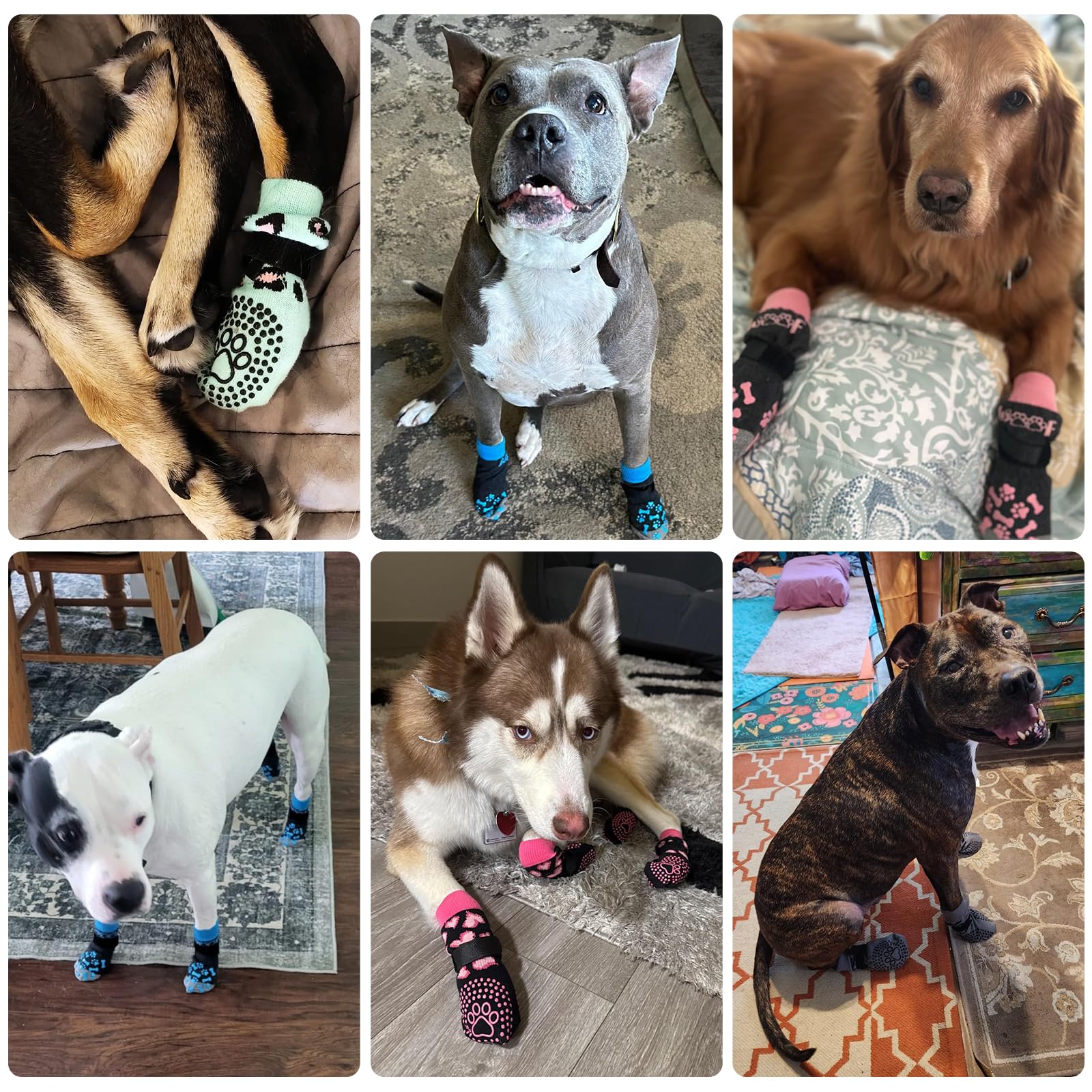 KOOLTAIL dog socks prevent floor scratches and sofa pawing