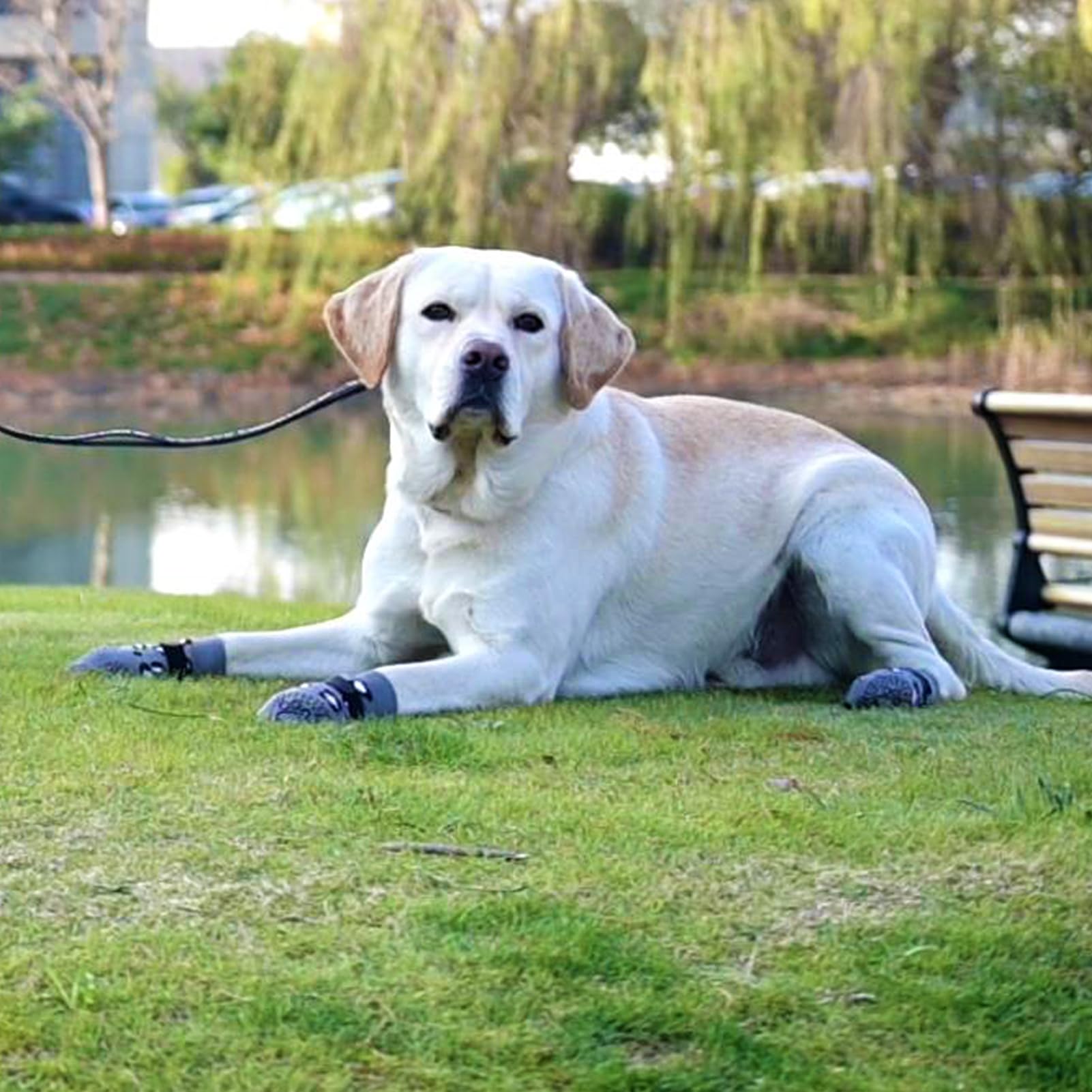KOOLTAIL Dog Socks breathable fabric for daily wear.