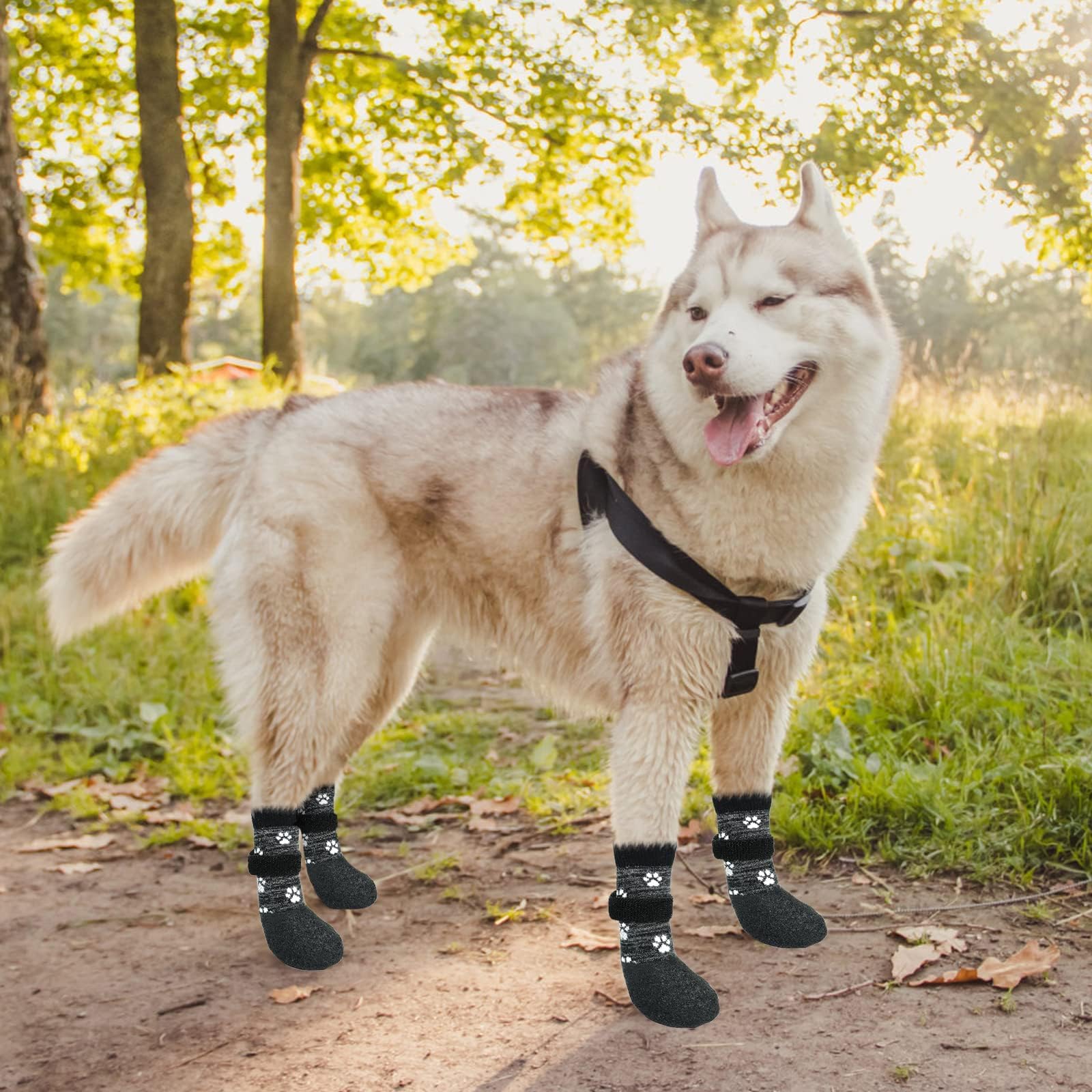 KOOLTAIL dog socks are ideal for indoor floors and outdoor strolls