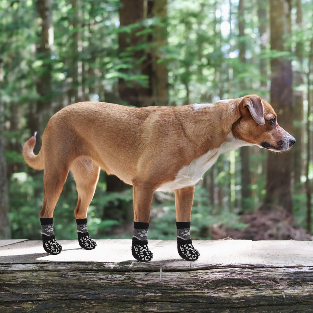 KOOLTAIL dog socks multi-use scenario illustrating warmth, wound protection, and paw shielding.