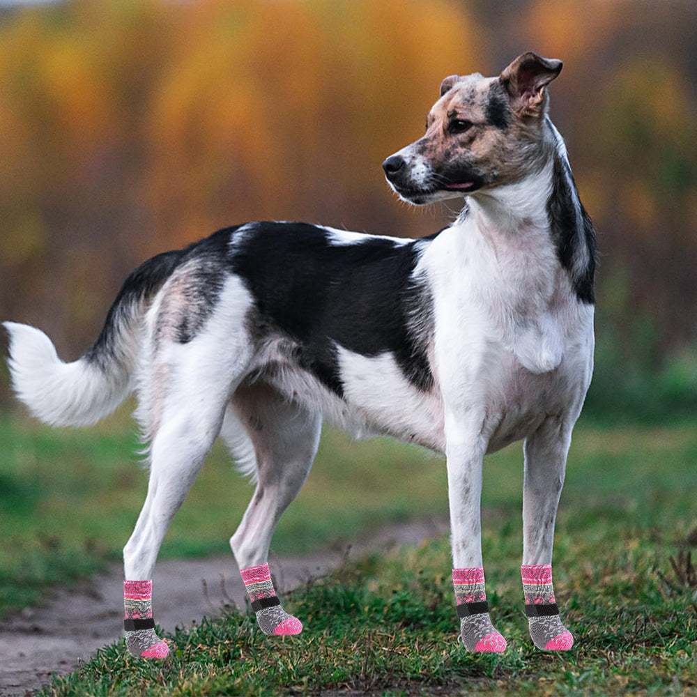 KOOLTAIL socks protect paws on hardwood floors while indoors.