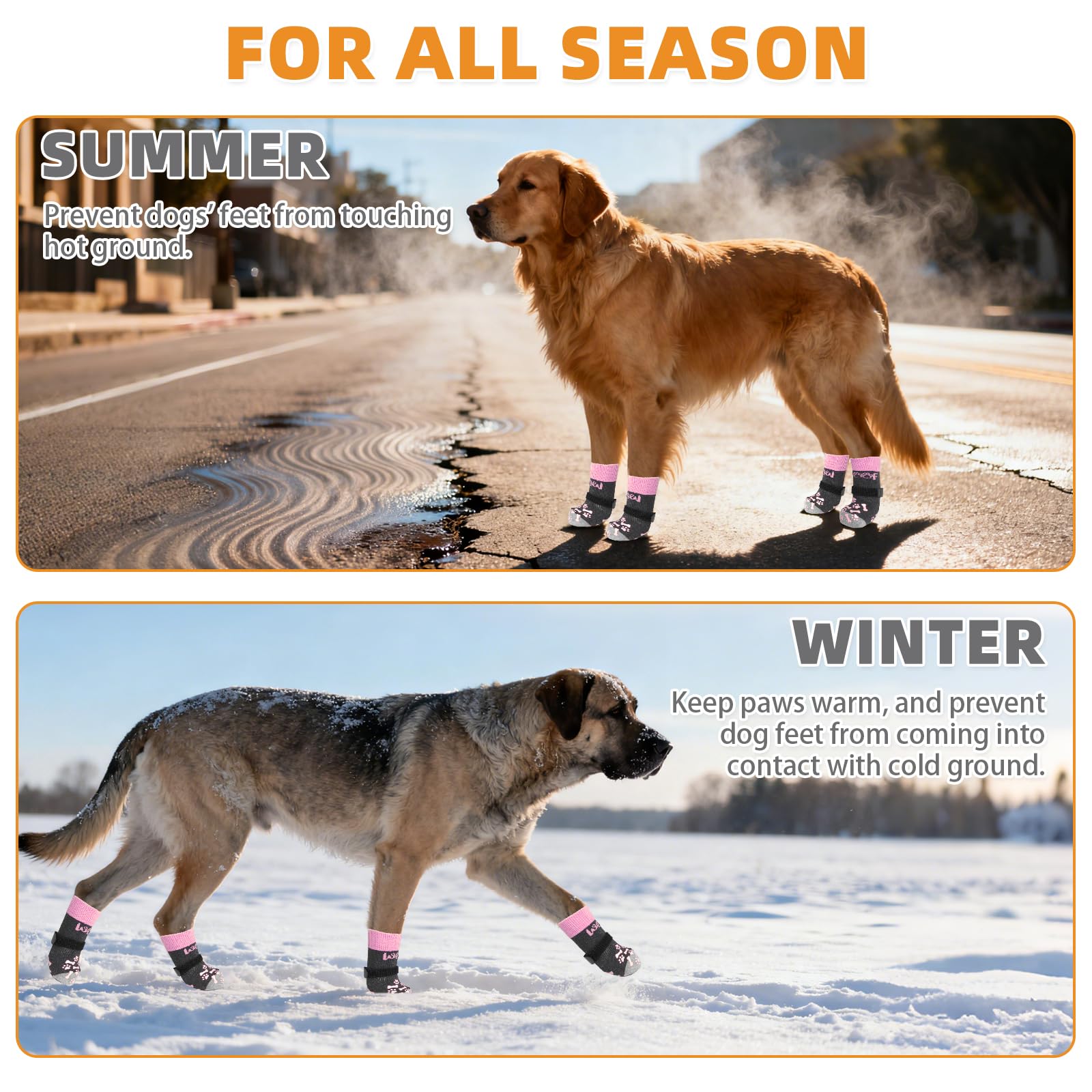 Kooltail dog socks worn on sofa help prevent scratches and wear.