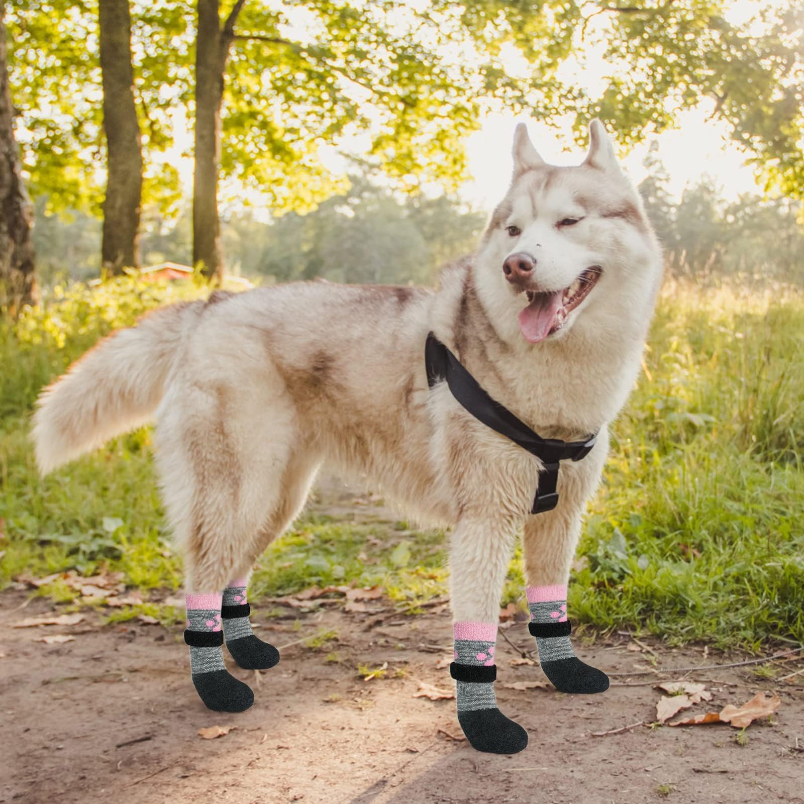 KOOLTAIL dog socks ready for outdoor use in rain or snow with grip