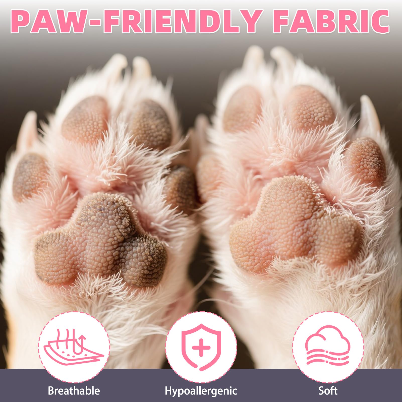 KOOLTAIL paw protection on rough ground and stones