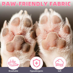 KOOLTAIL paw protection on rough ground and stones