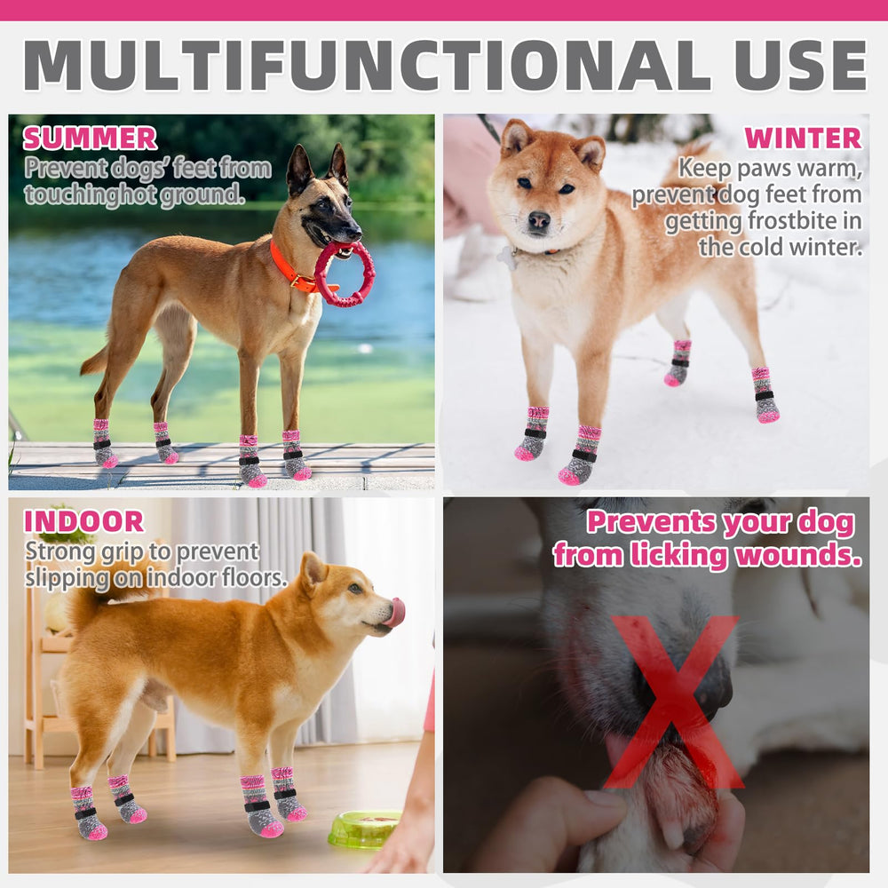 KOOLTAIL paw protection socks shield paws from stones, glass, and extreme temperatures.