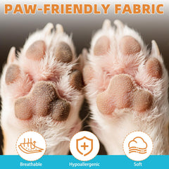 KOOLTAIL small dog socks show a snug fit for comfortable wear.
