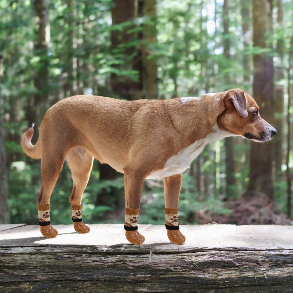 KOOLTAIL dog socks suitable for all dog sizes across breeds
