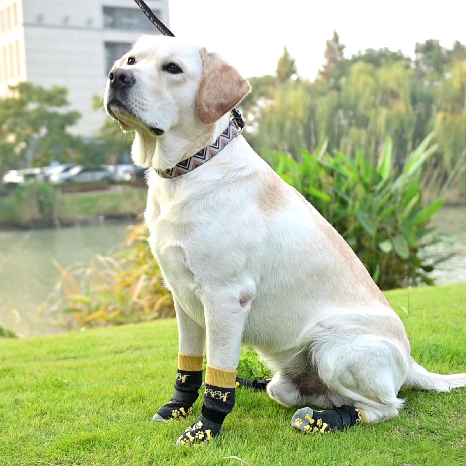 KOOLTAIL dog socks for-summer use offer breathable paw protection.