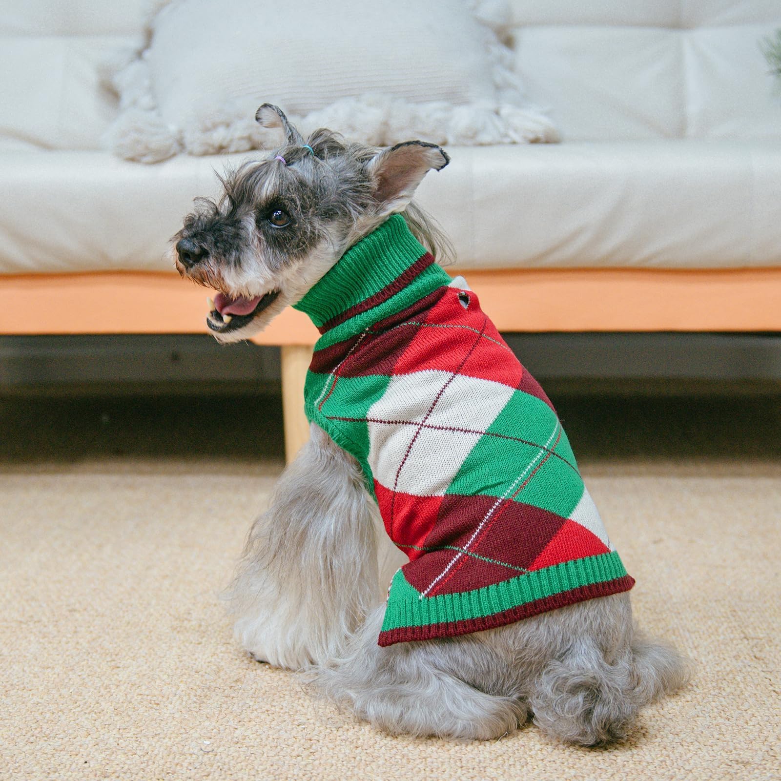 KOOLTAIL dog sweater holiday wear for daily comfort and festive photos