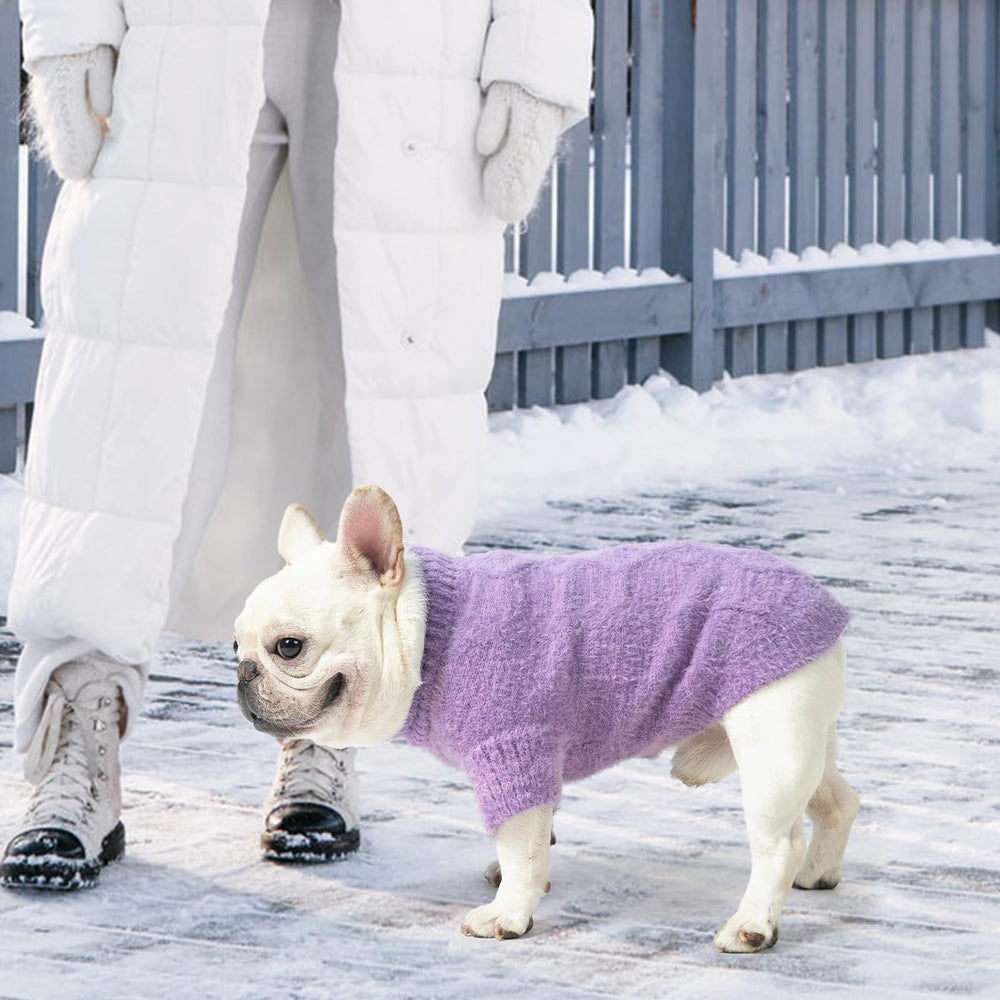 KOOLTAIL color options shown for photoshoots and festive outfits.