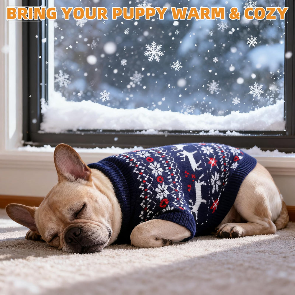 KOOLTAIL dog sweater with built-in leash hole supports safe harness use on walks