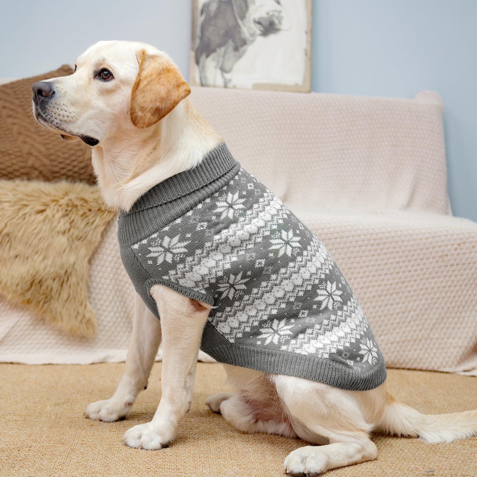 KOOLTAIL dog sweater machine-wash care guidance for easy cleaning