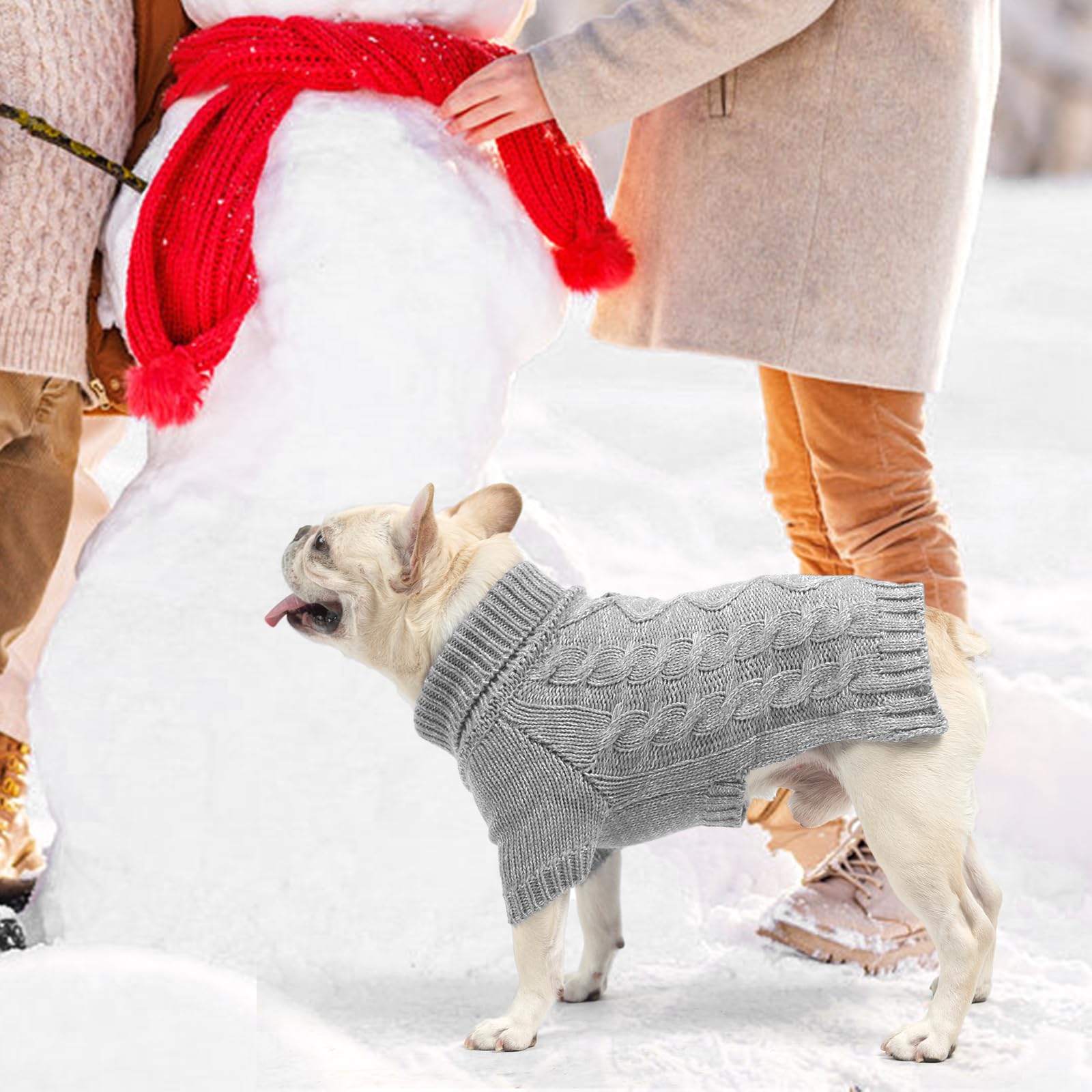 KOOLTAIL dog sweater outdoor-walk shot shows practical windproof design for dogs.