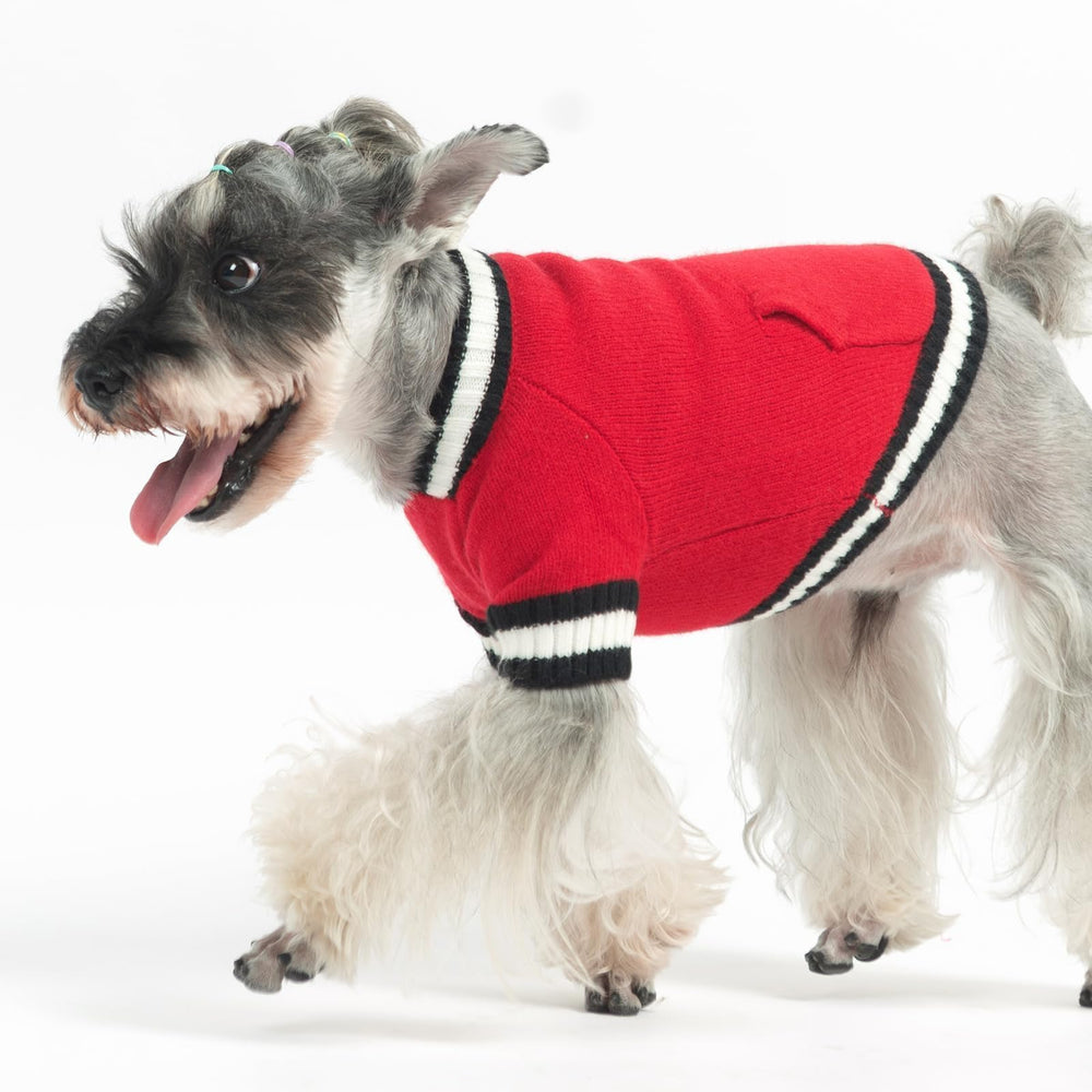 KOOLTAIL dog sweater size guide helps you pick the perfect fit.