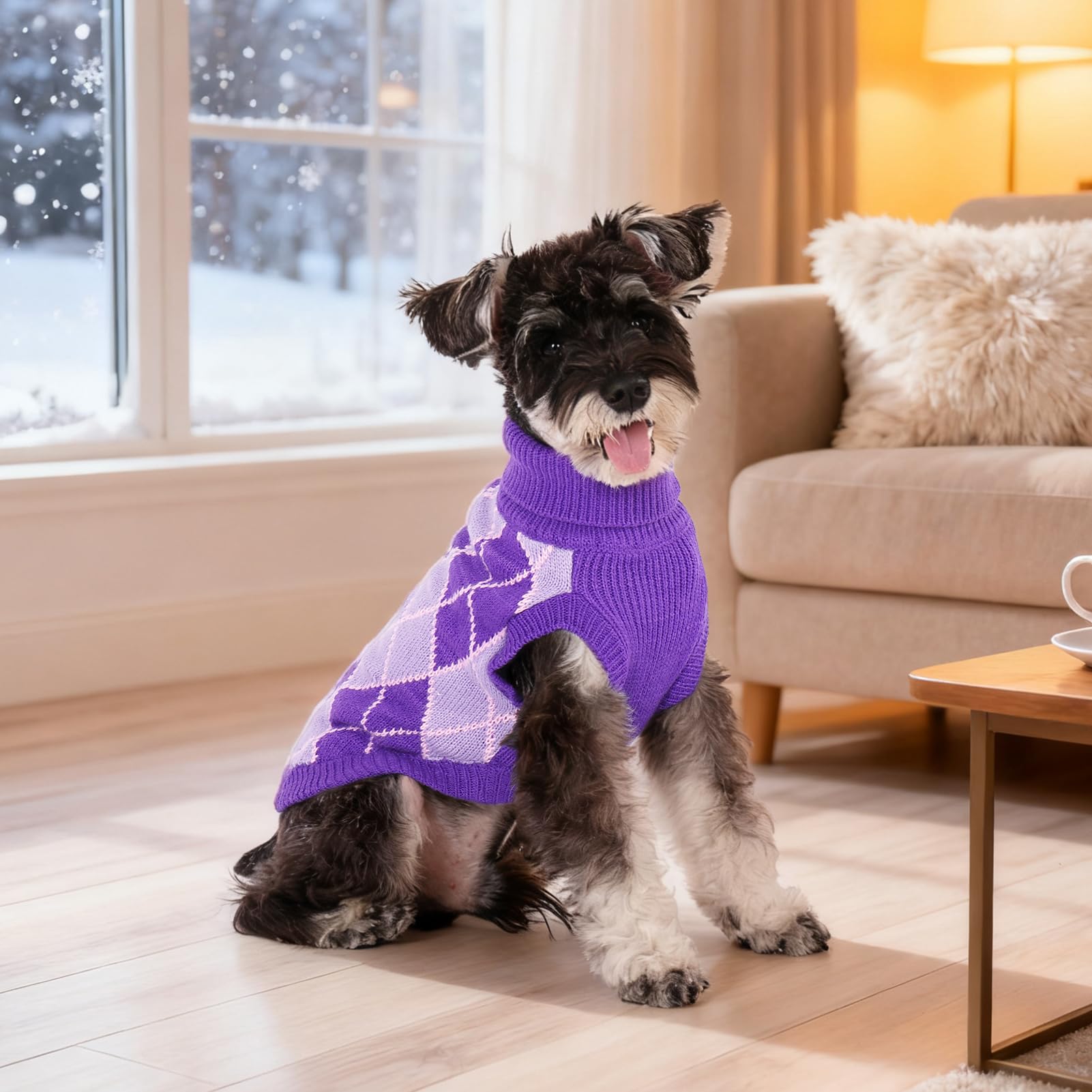 KOOLTAIL dog sweater care guide shows machine washable fabric for easy cleaning