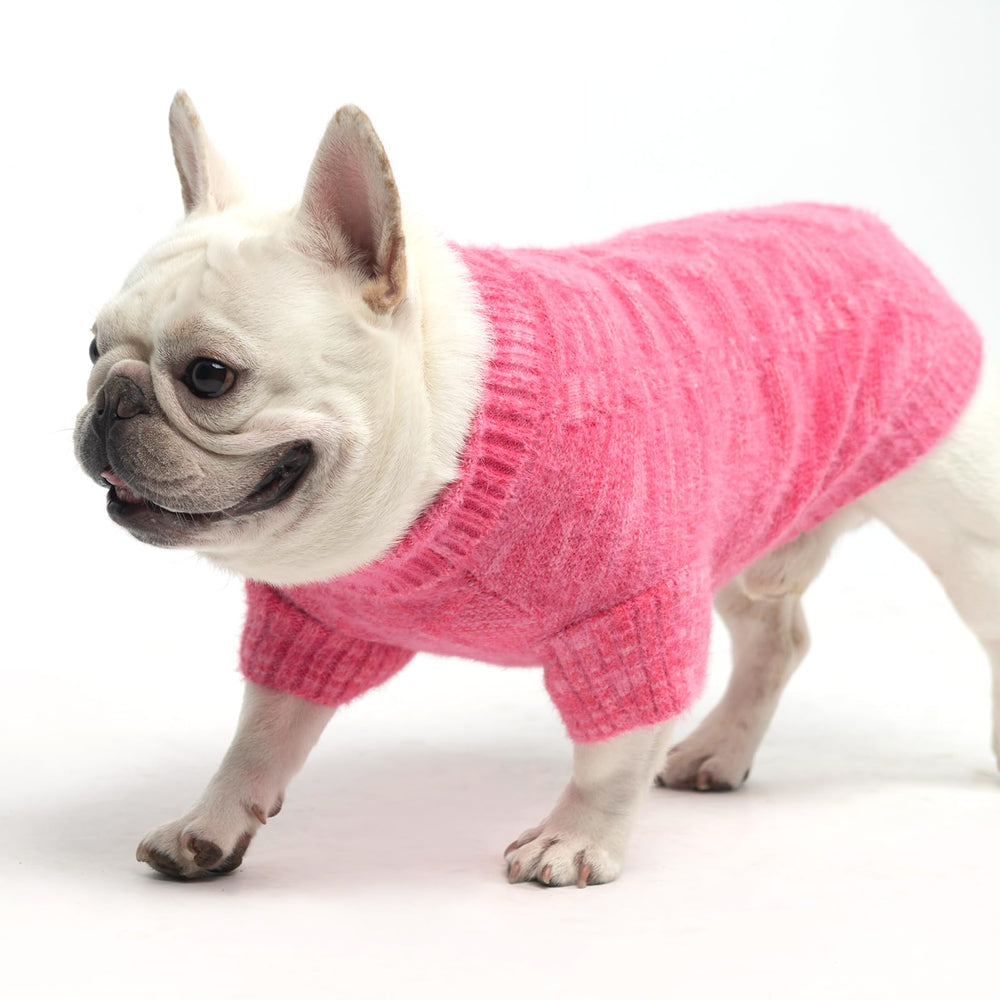KOOLTAIL dog sweater worn during winter walk illustrates everyday warmth and mobility