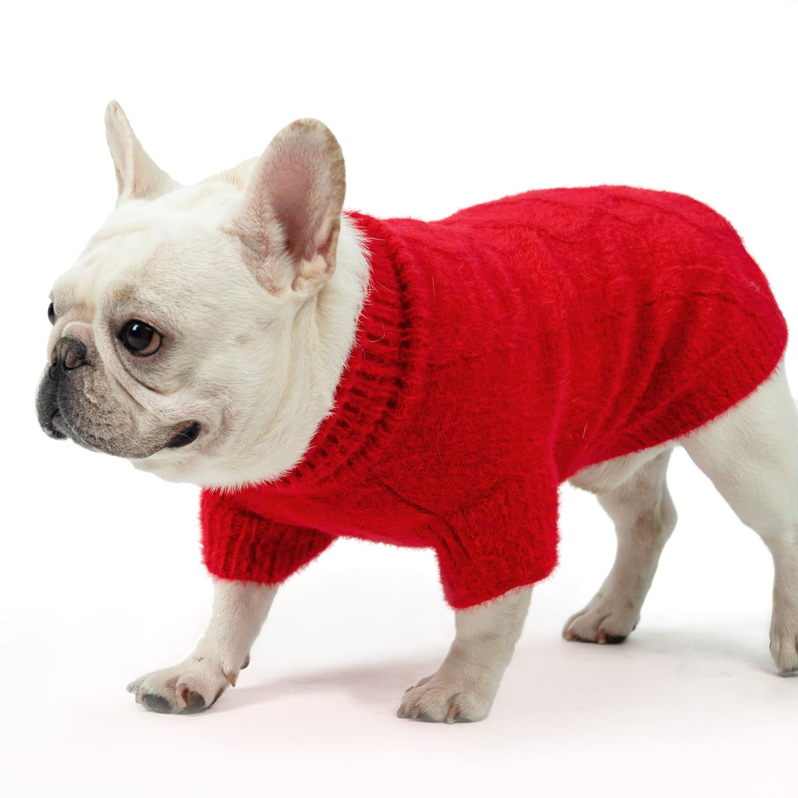 KOOLTAIL dog sweater worn during walk demonstrates versatile winter wear.