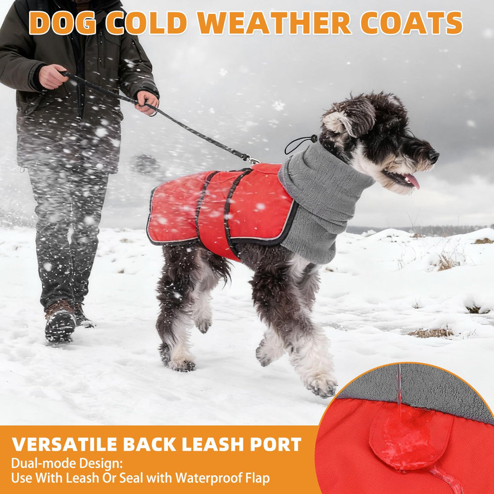 KOOLTAIL dog winter coat high-neck collar blocks cold drafts for comfort.
