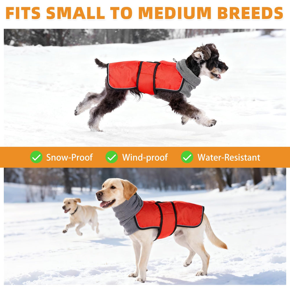 KOOLTAIL dog winter coat reflective strips boost visibility in low-light conditions.
