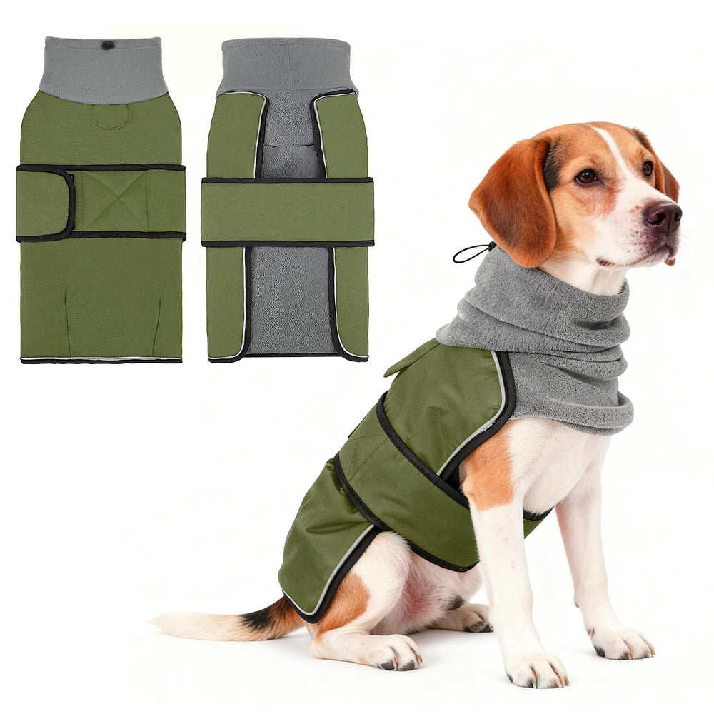 KOOLTAIL dog winter coat rear view highlights a waterproof shell for rain and snow protection.