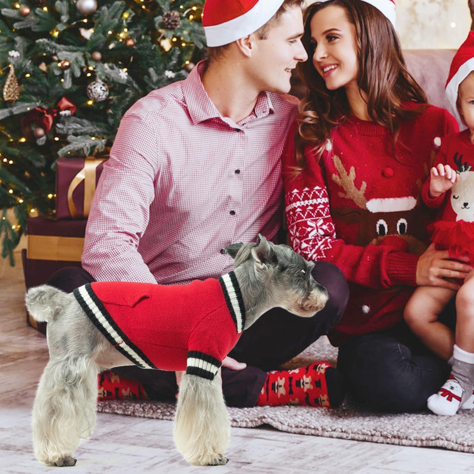 KOOLTAIL dog winter outfit on puppy showcases versatile styling for photos and events.