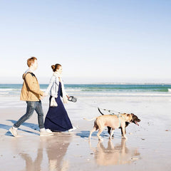KOOLTAIL leash features 360° swivel clasp to prevent tangles during crossings