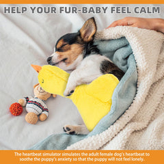 KOOLTAIL duck toy pocket-heartbeat mechanism supports companionship when apart.