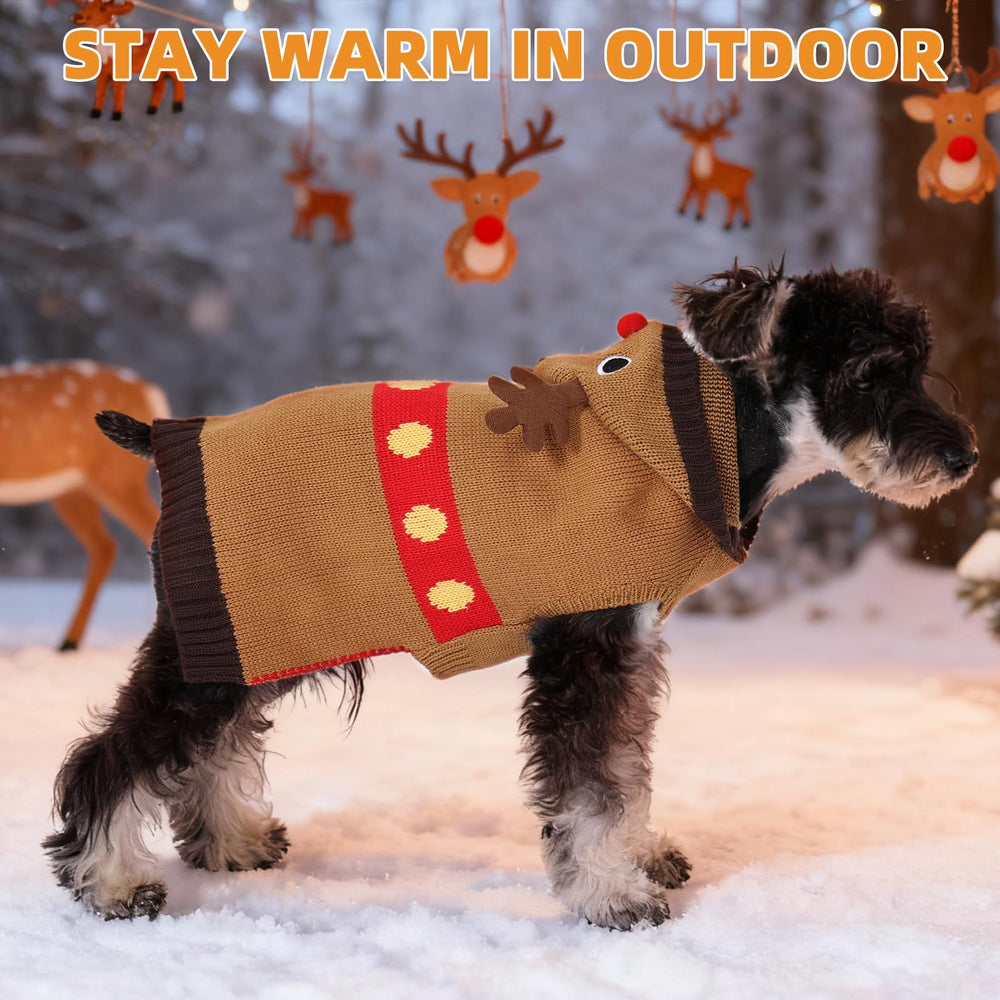 Kooltail festive holiday pet outfit adds style for seasonal gatherings