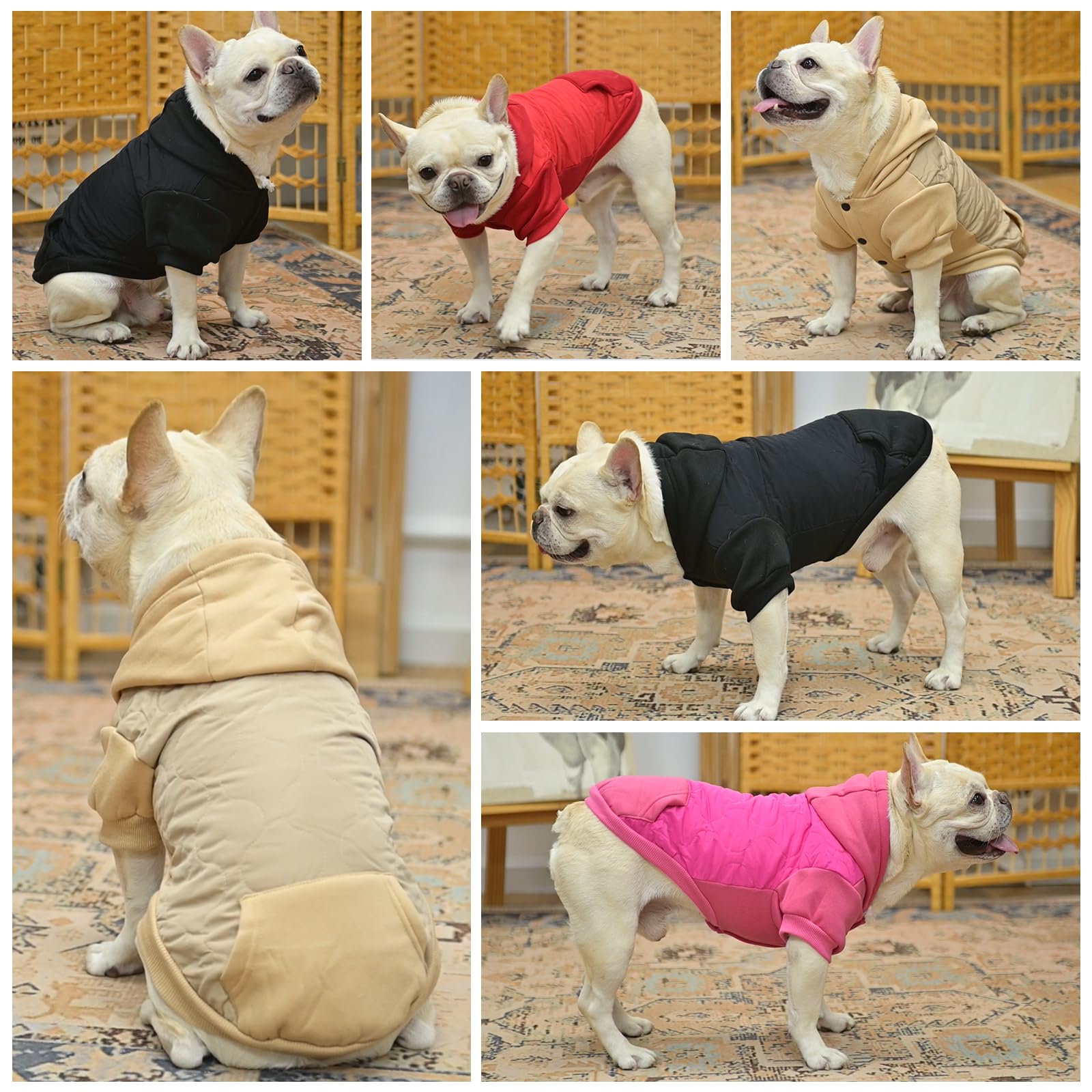 KOOLTAIL festive red dog coat designed for cute, photo-ready moments