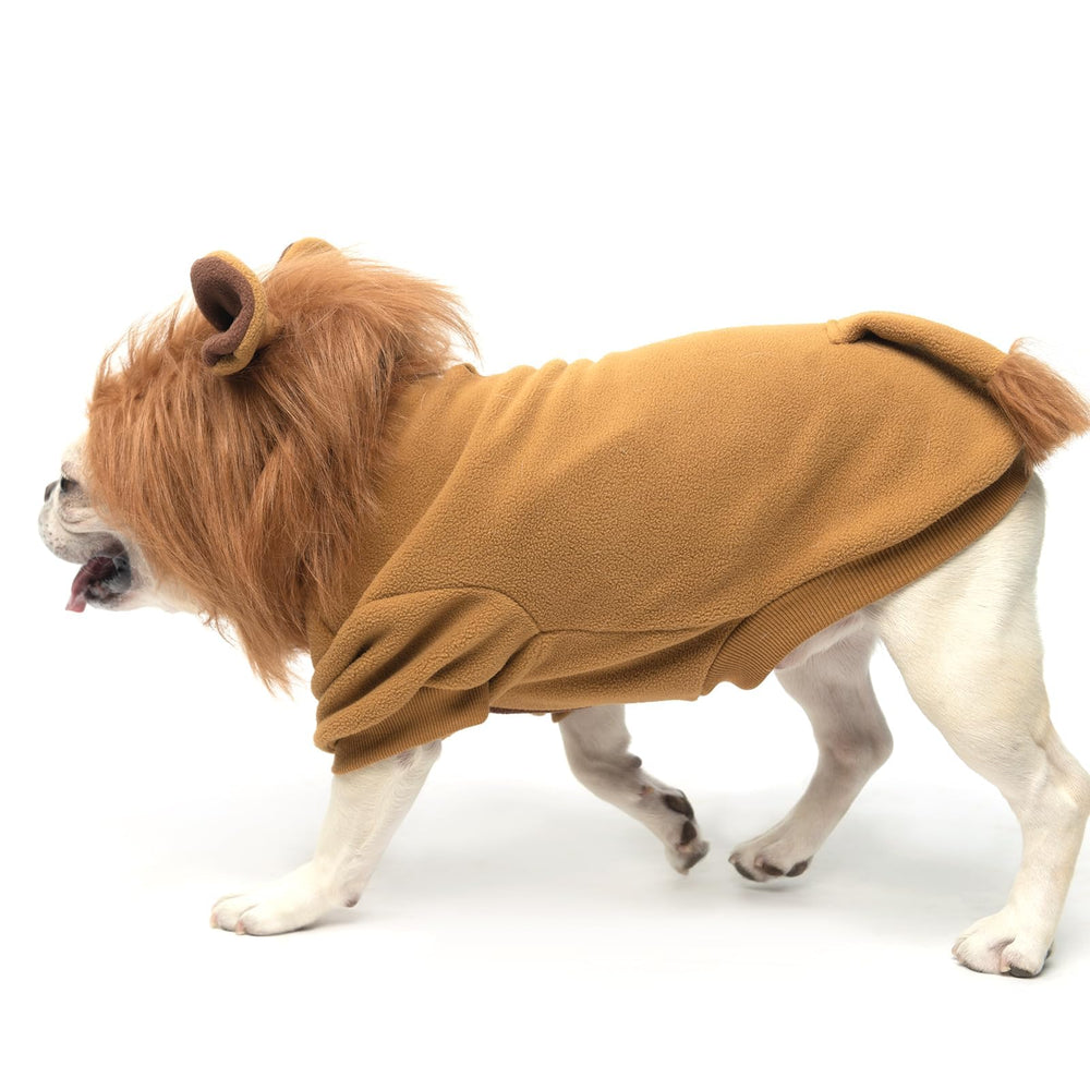 KOOLTAIL Halloween and Christmas cosplay look for dogs