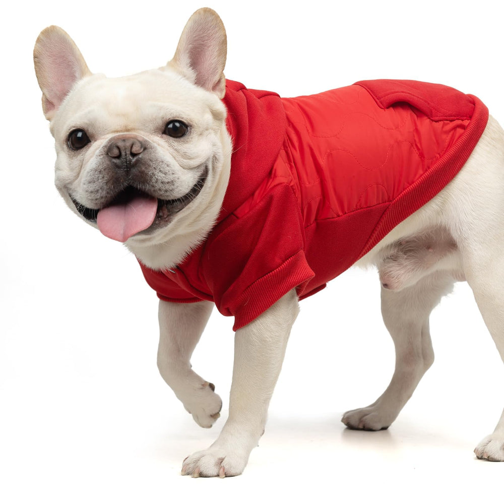 KOOLTAIL high-cut belly coat allows easy potty breaks without removal