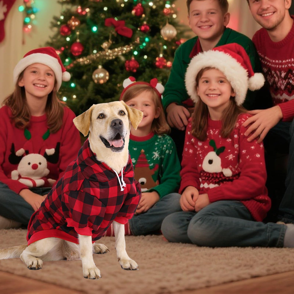 KOOLTAIL holiday plaid dog hoodie worn at party-ready look