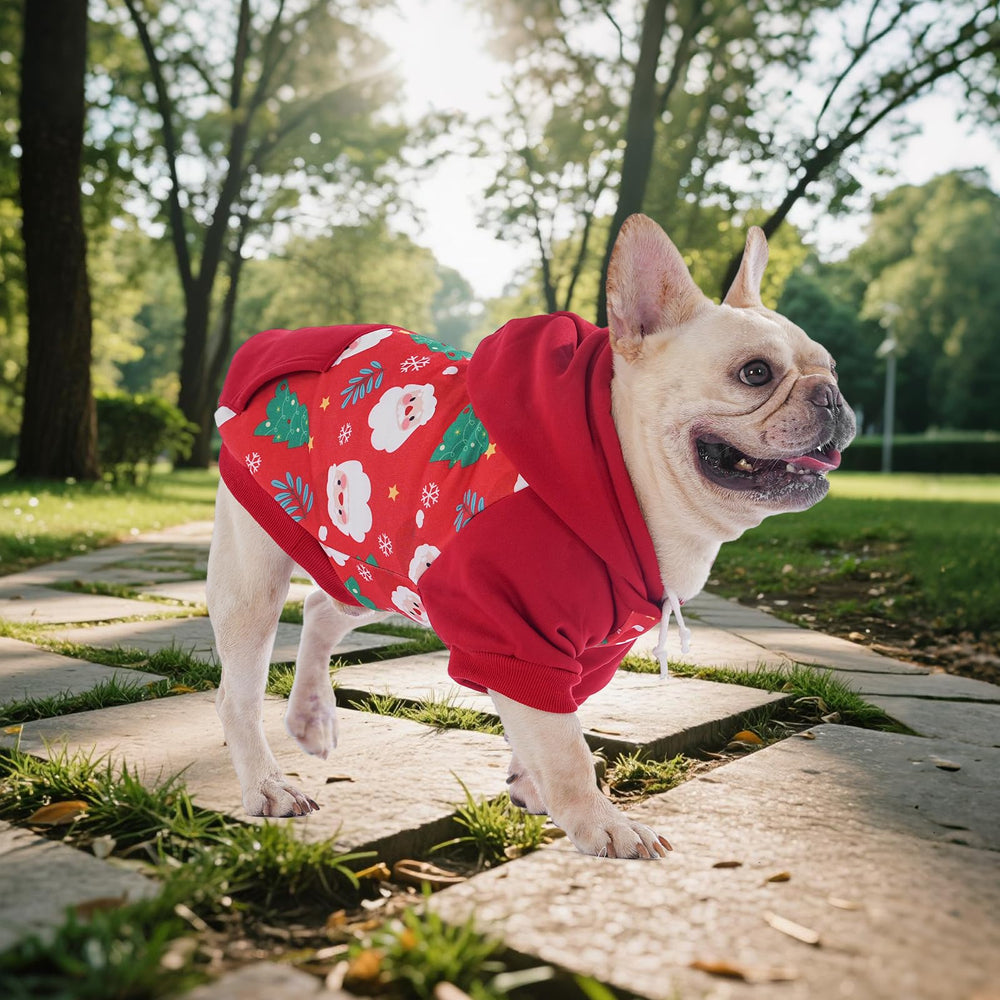 KOOLTAIL hoodie-cuffs emphasizes elastic cuffs for comfortable movement during play.