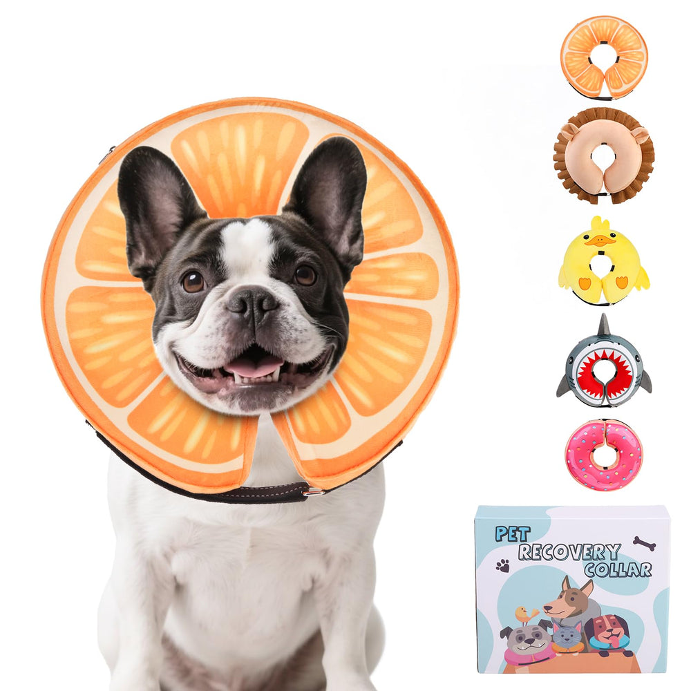 KOOLTAIL inflatable dog cone orange on dog prevents licking while recovering