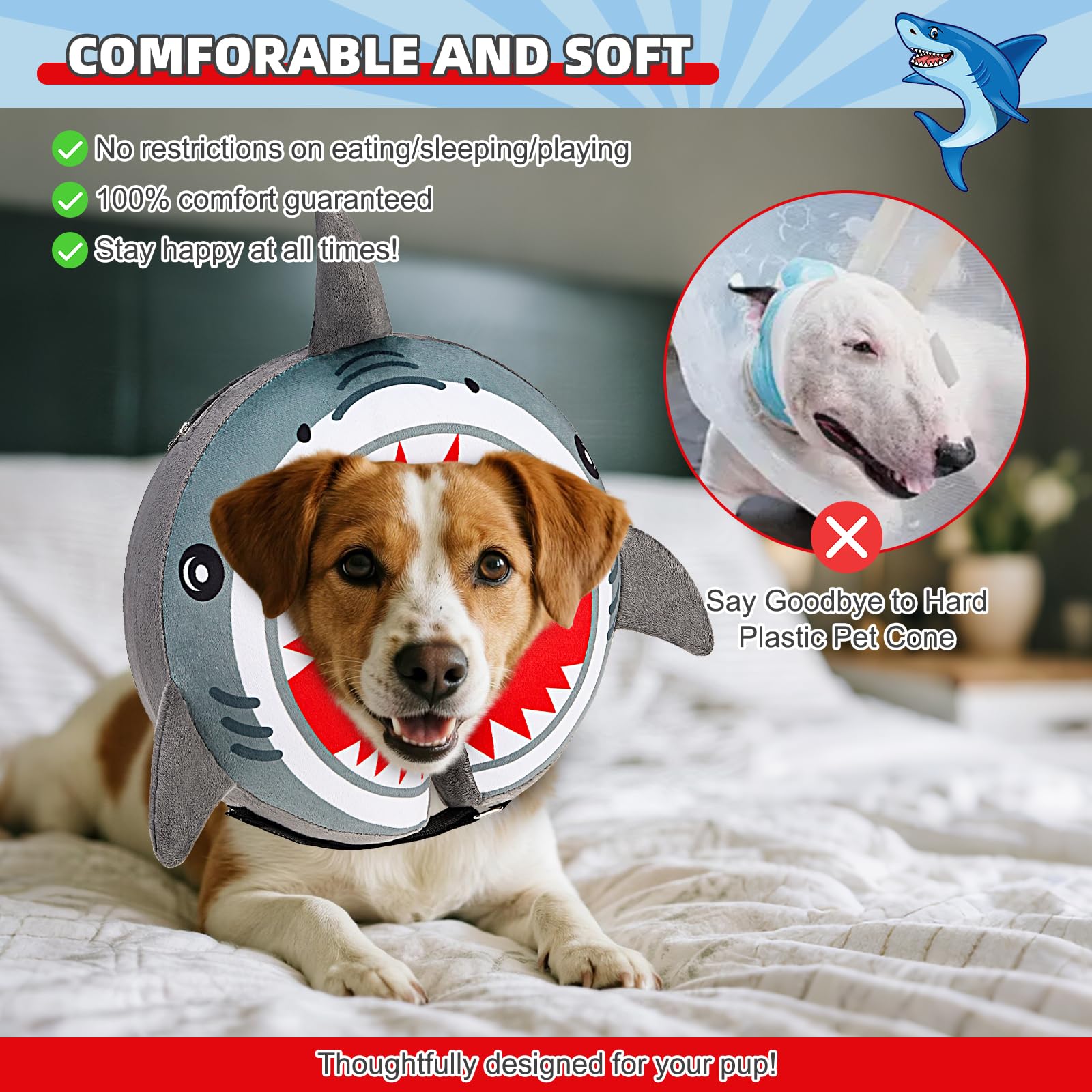KOOLTAIL cone worn by a dog during recovery, showing secure fit.