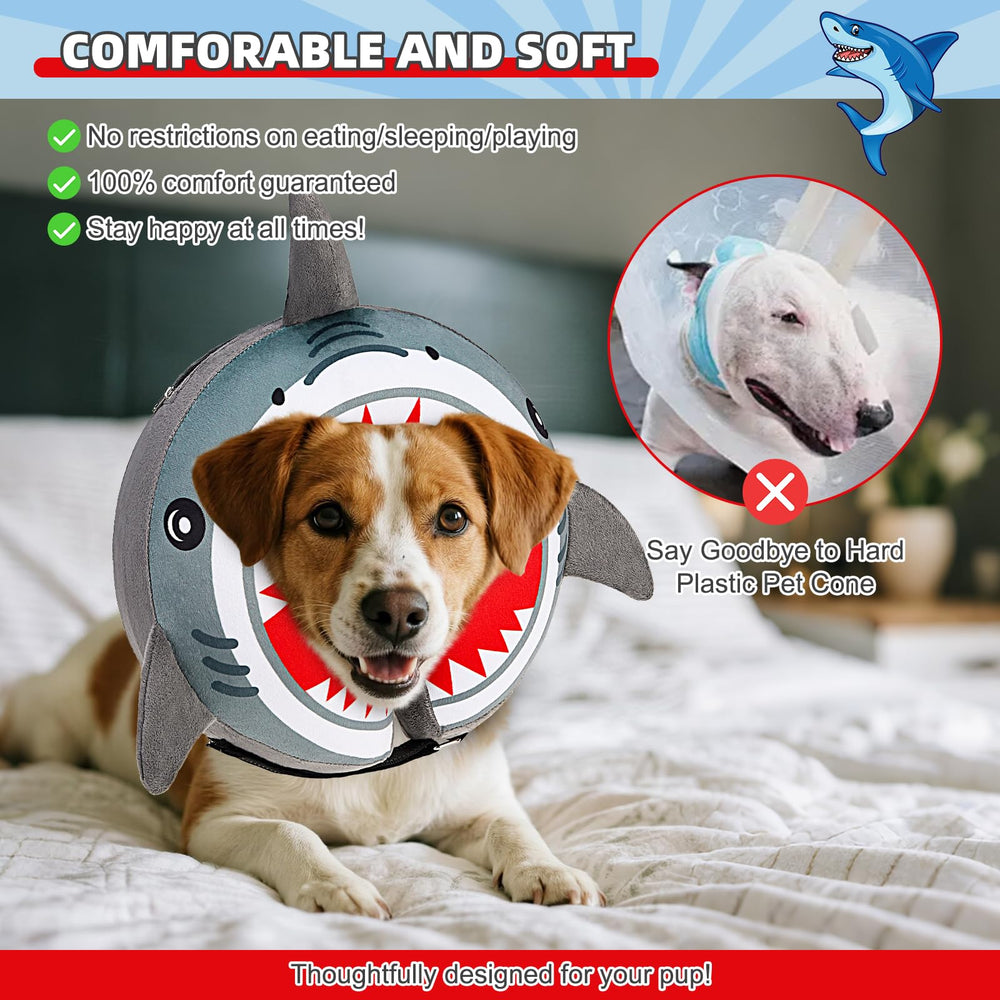KOOLTAIL cone worn by a dog during recovery, showing secure fit.