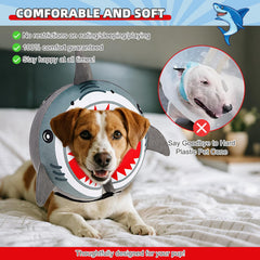KOOLTAIL cone worn by a dog during recovery, showing secure fit.
