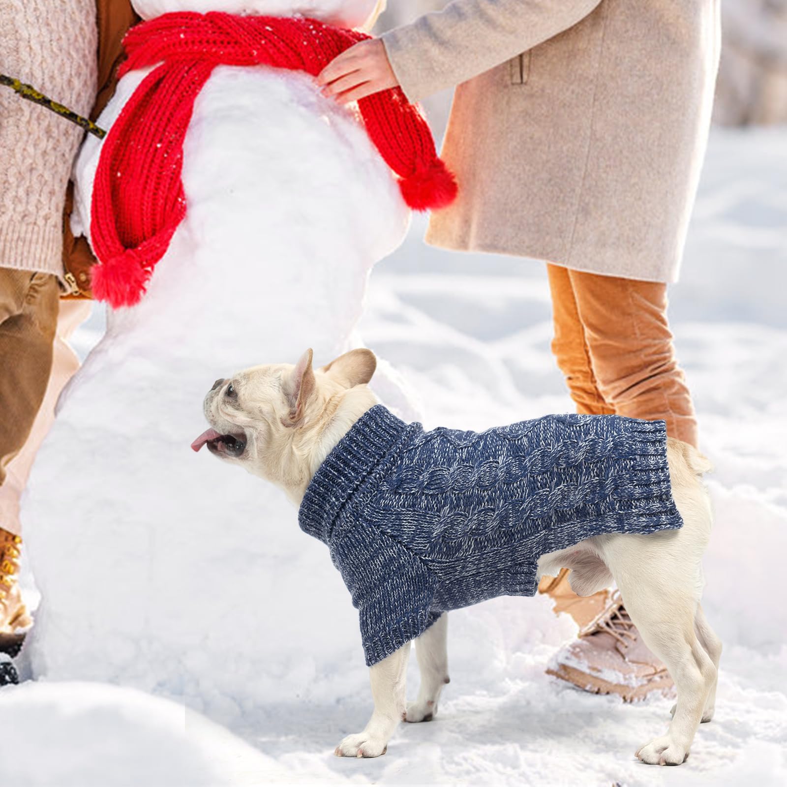 KOOLTAIL leash-hole design supports harness use during walks