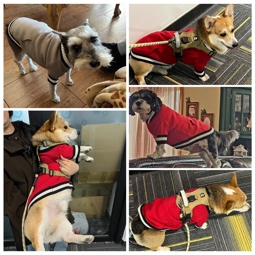 KOOLTAIL machine-washable dog sweater ensures simple cleanup after outdoor adventures.