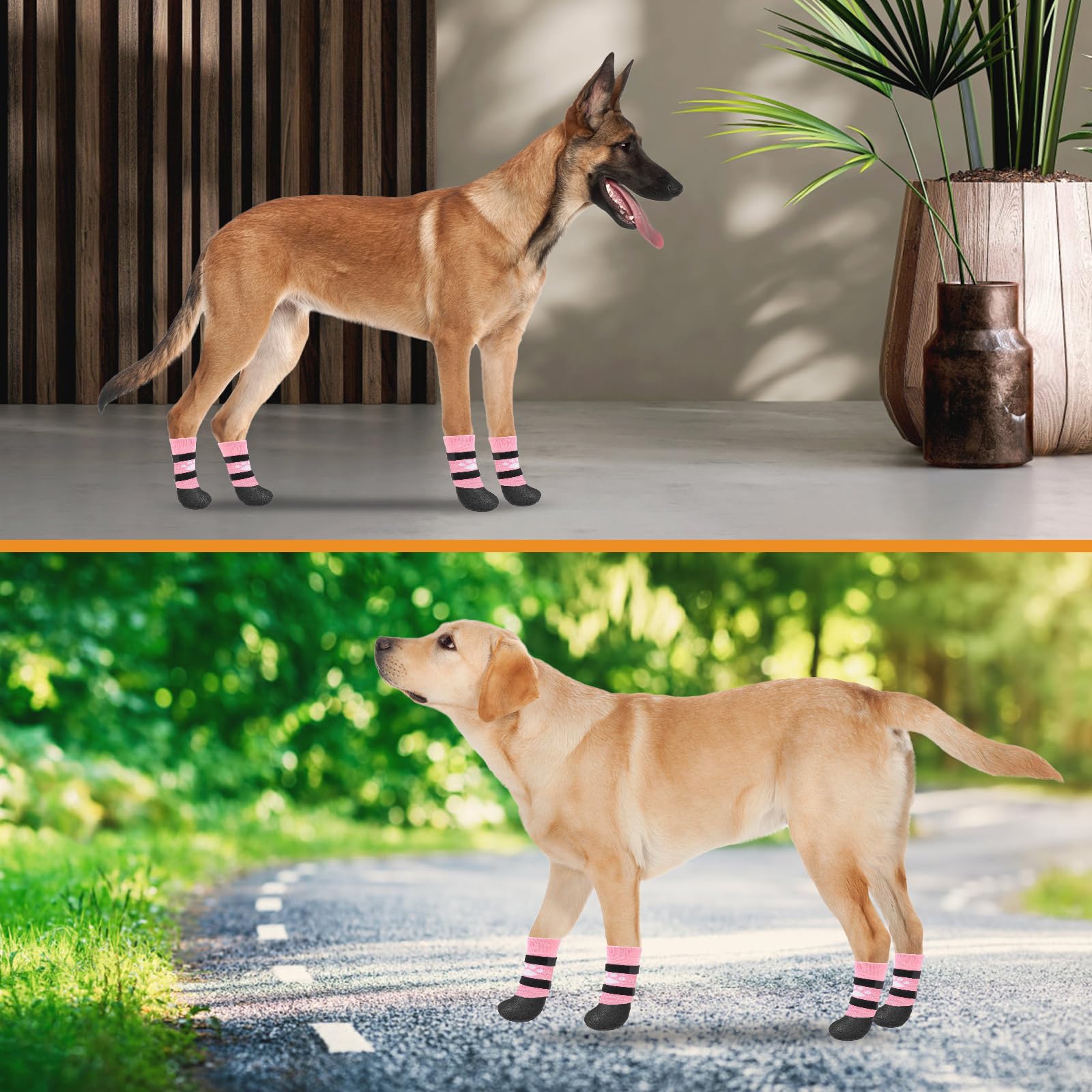 KOOLTAIL paw size guide helps owners pick proper fit for every dog