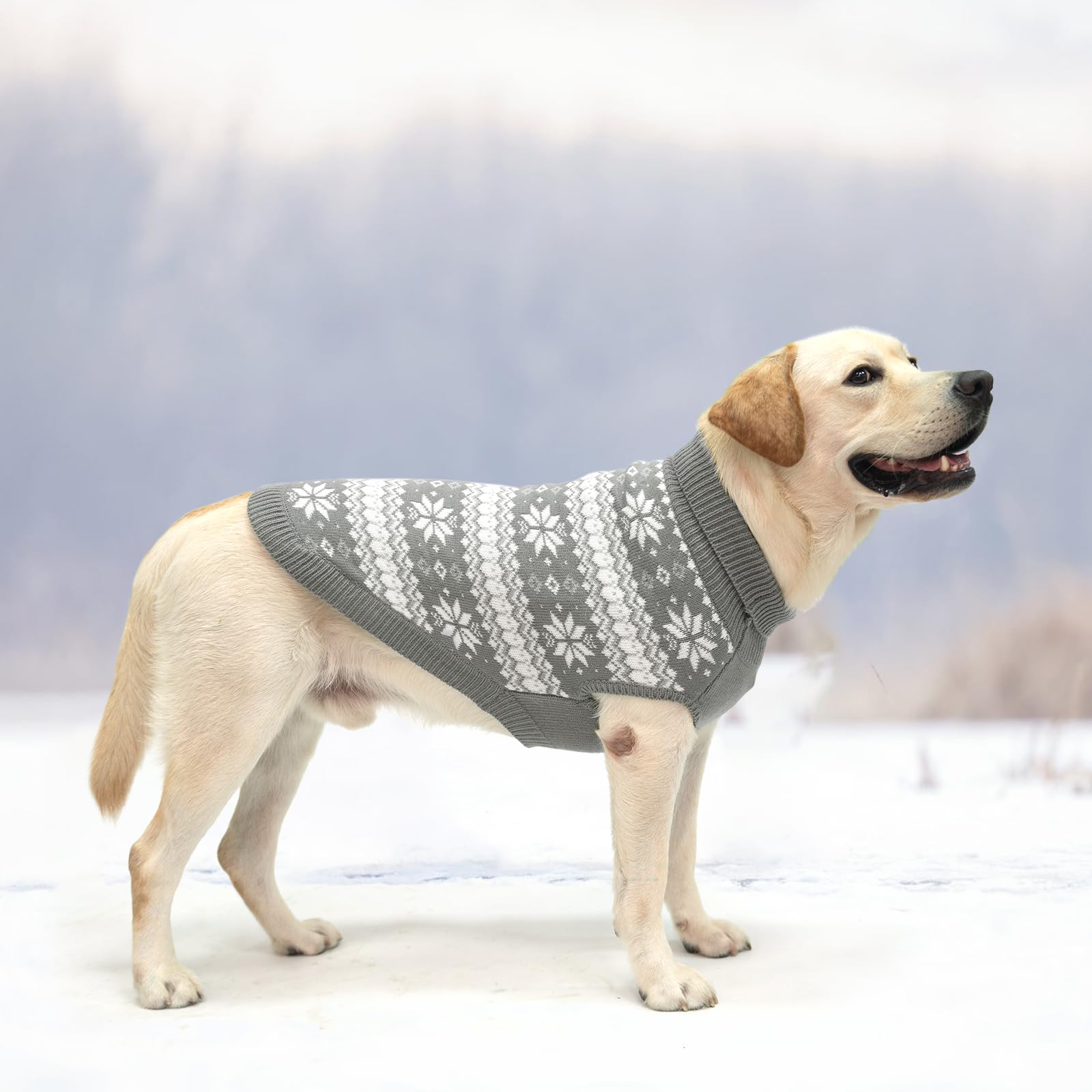 KOOLTAIL model wearing dog sweater demonstrates comfortable wear