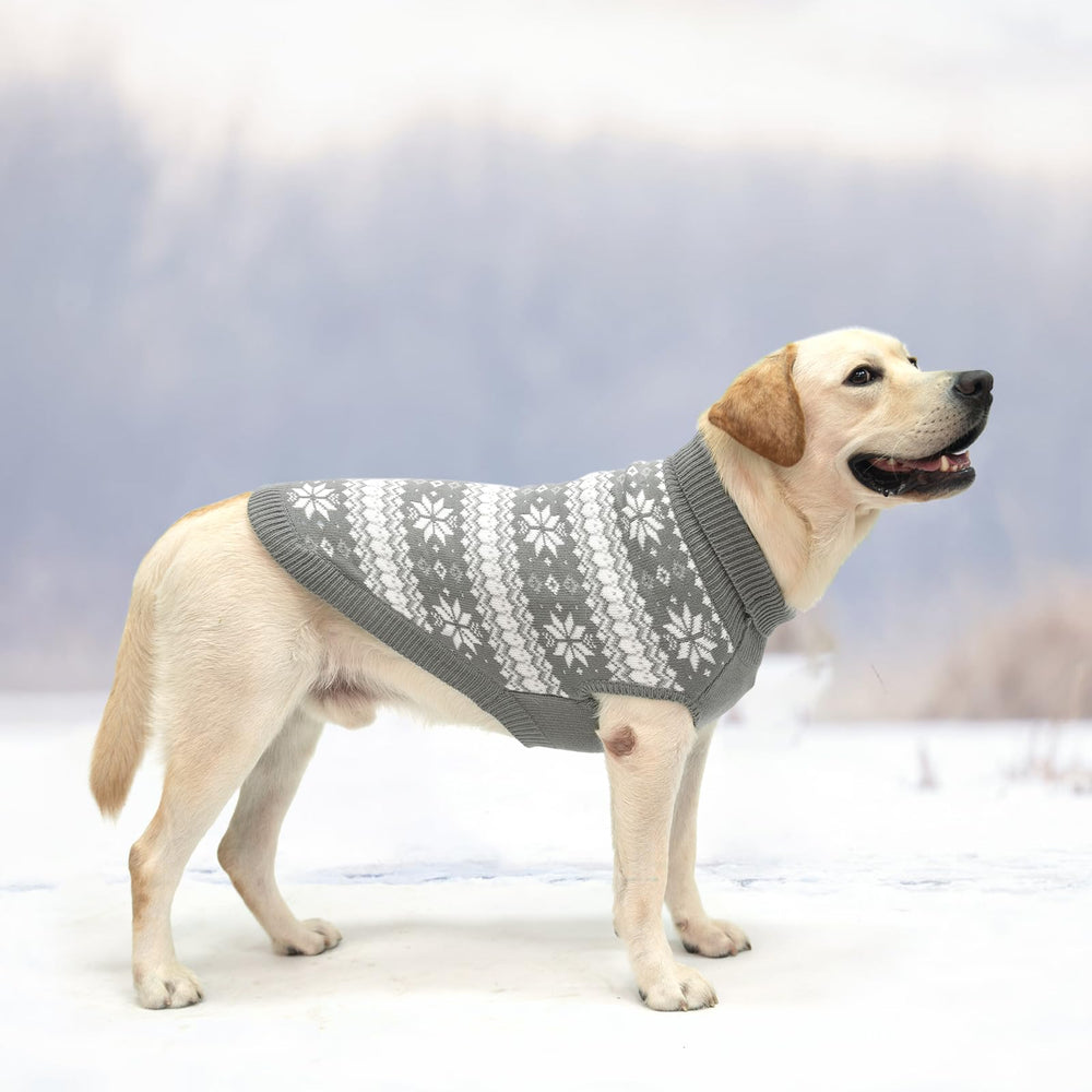 KOOLTAIL model wearing dog sweater demonstrates comfortable wear