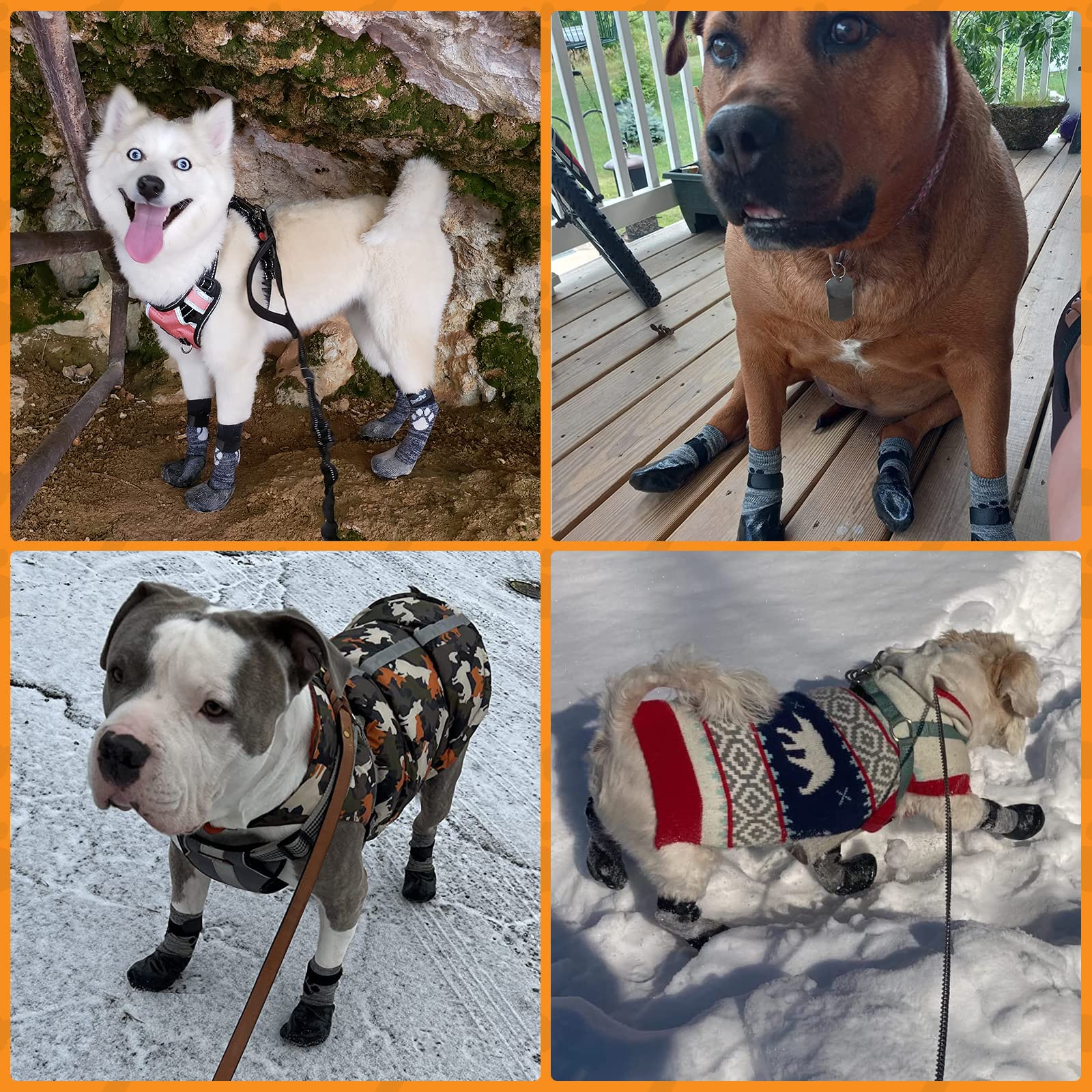 KOOLTAIL multi-size-pack supports households with multiple dogs or growing puppies