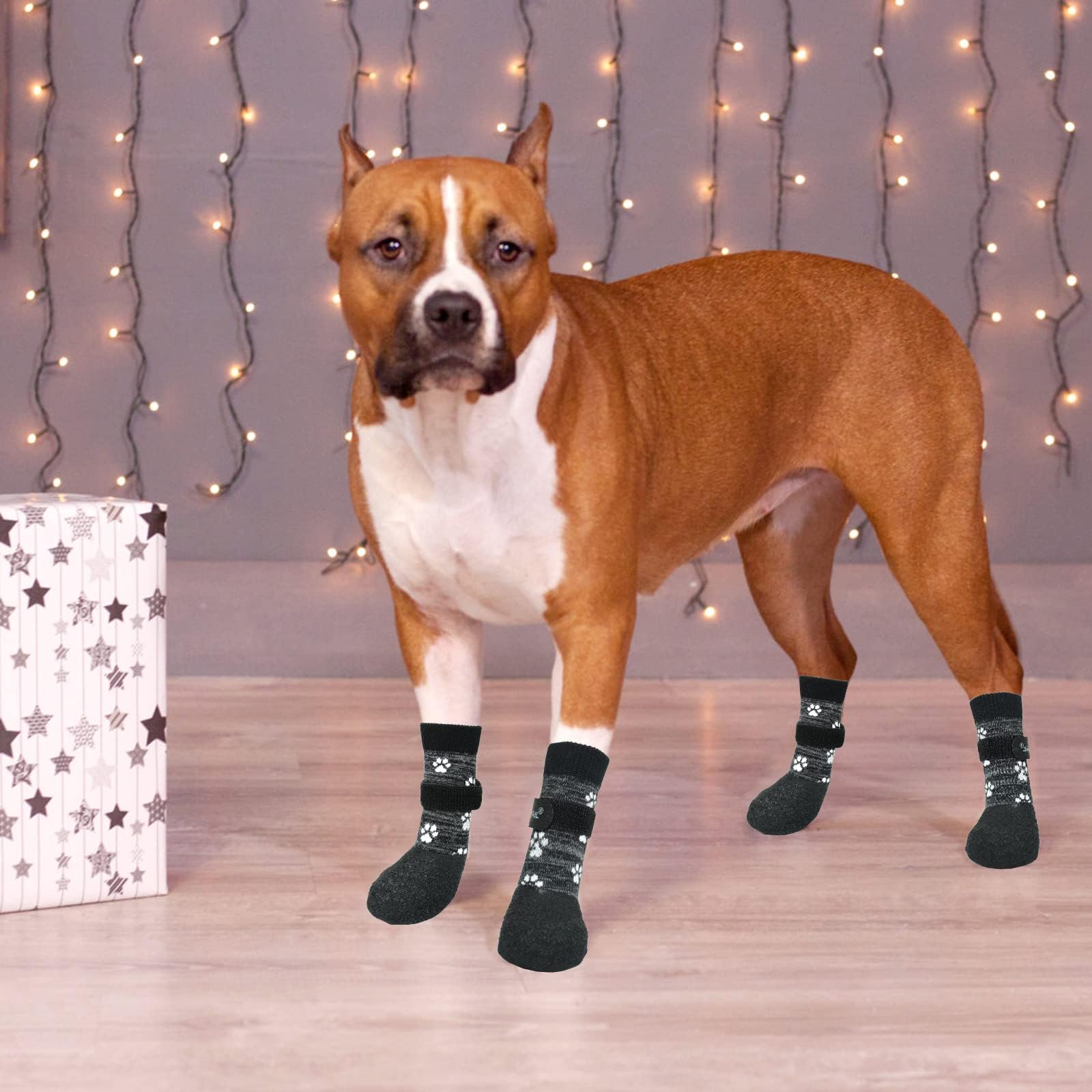 KOOLTAIL multi-use paw socks guard against hot pavement and cold frost
