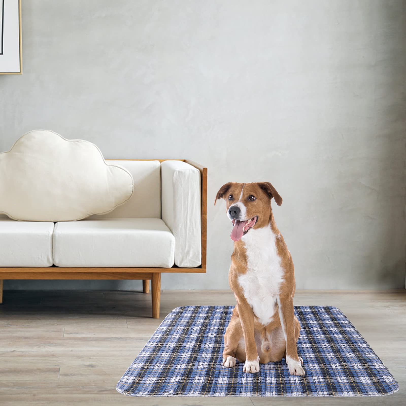 KOOLTAIL odor-lock absorption helps keep rooms fresher