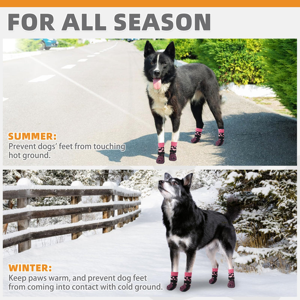 KOOLTAIL paw protectors on hot pavement illustrate paw protection.