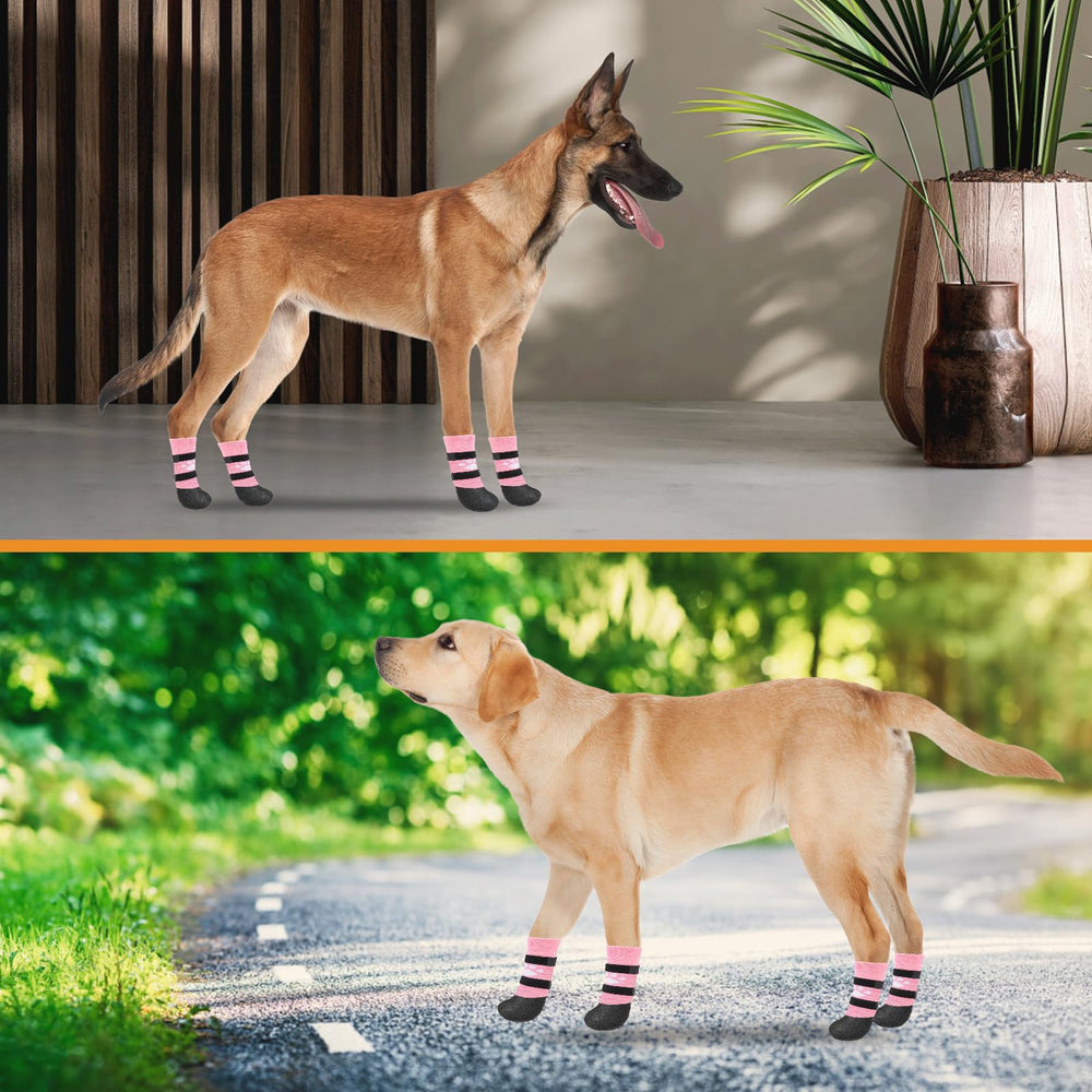 KOOLTAIL paw size guide helps ensure proper fit