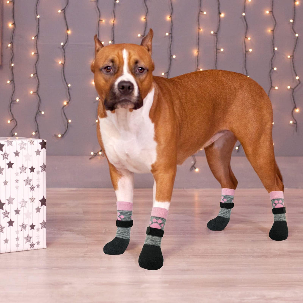 KOOLTAIL paw socks used indoors on wooden floors to reduce slips and scratches