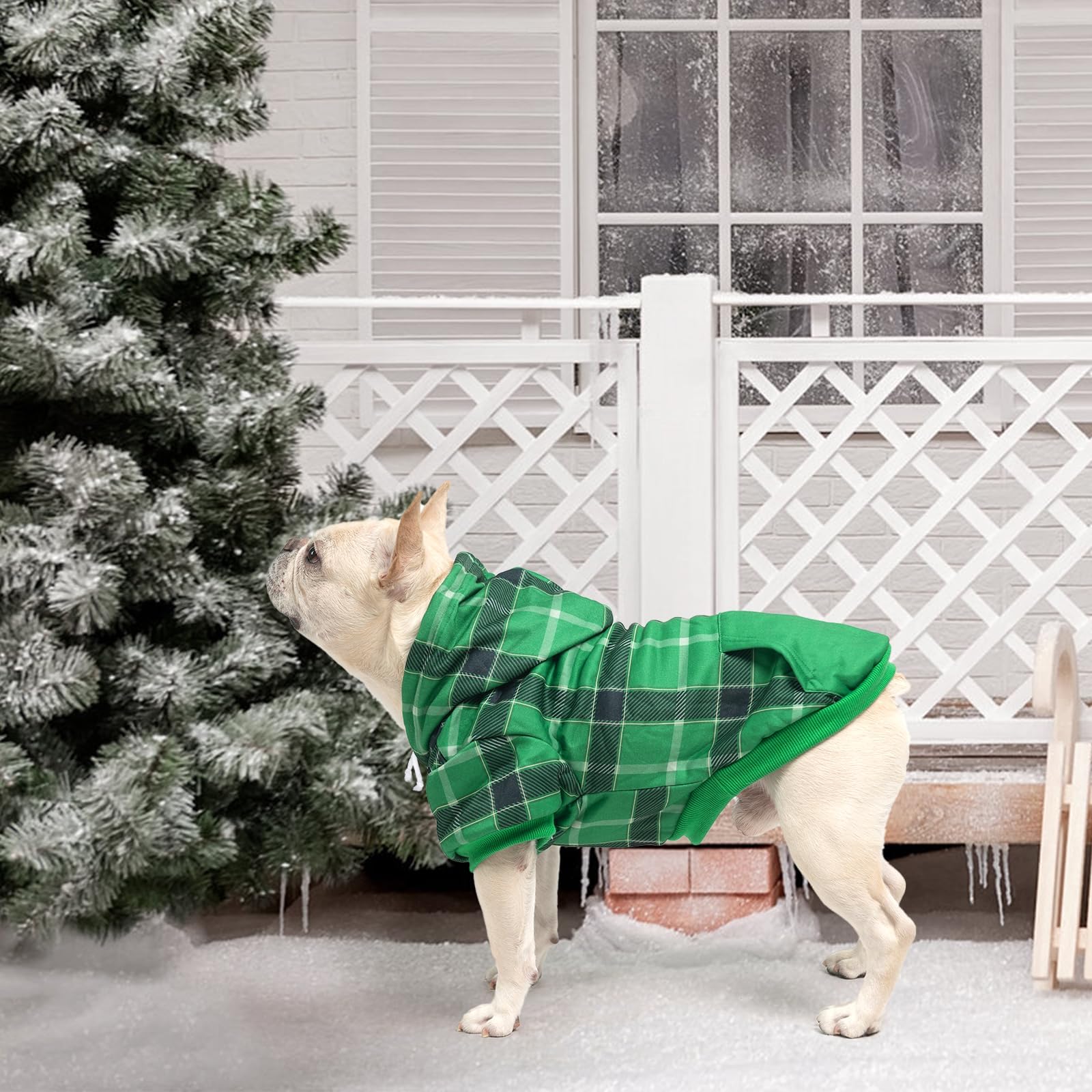 KOOLTAIL plaid dog hoodie green care instructions for easy washing